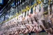 قیمت مرغ و تخم‌مرغ در دوازدهمین روز جنگ