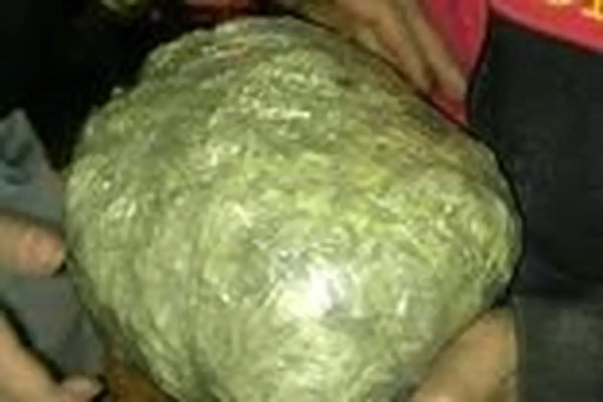 تصویر وحشتناک از نارنجک دستی ۵ کیلویی در دست یک  پسرنوجوان!