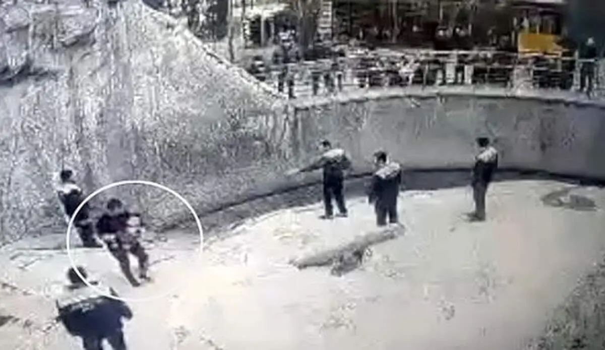 مادر سنگدل دختر ۳ ساله‌اش را داخل قفس خرس وحشی افتاد!+عکس