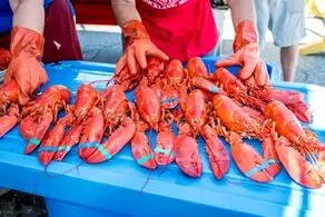 ادعای جالب یک رسانه چینی درخصوص وجود ویروس کرونا در محموله خرچنگ وارداتی از آمریکا