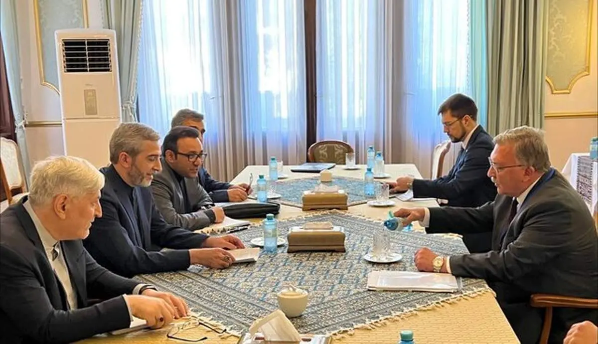 اولین دیدار هیات ایرانی در وین انجام شد
