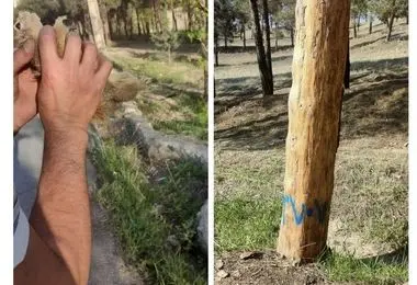  سرخه‌حصار تا پایان جنگ تعطیل شد