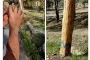تصاویر نگران‌کننده‌ای که از پارک چیتگر وایرال شد + ببینید 