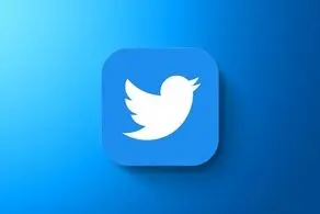 توییتر کاربرانش را نقره داغ کرد