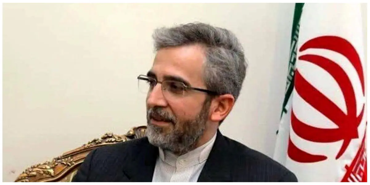 انتشار یک توییت جعلى از على باقرى/ وزارت خارجه اطلاعیه داد + عکس