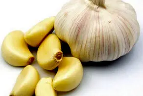  معجزه باورنکردنی سیر در سلامت بدن
