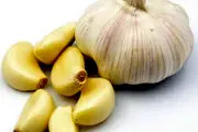 مصرف روزانه سیر چه خواصی دارد؟