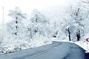 برخورد عجیب و غریب ژاپنی‌ها با برف