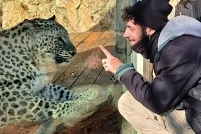 پلنگ ایرانی یک صهیونیست را کشت + عکس 