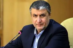 رئیس سازمان انرژی اتمی: غوغاسازی می‌کنند
