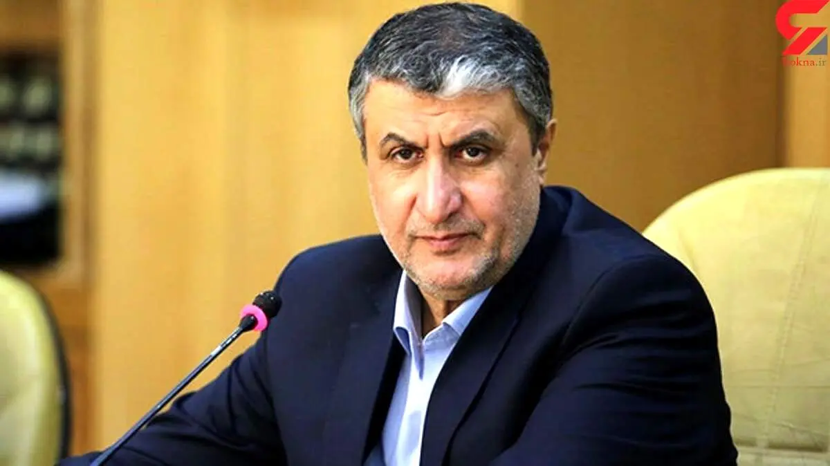 رئیس سازمان انرژی اتمی: غوغاسازی می‌کنند