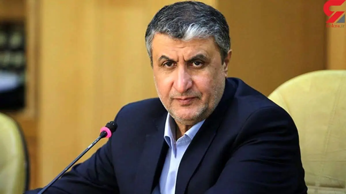 رئیس سازمان انرژی اتمی: غوغاسازی می‌کنند