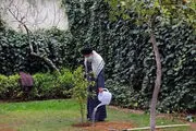 رهبر معظم انقلاب به مناسبت روز درختکاری دو نهال کاشتند