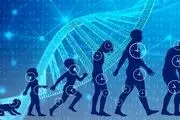 ۴ روش آسان برای افزایش طول عمر و سلامتی 
