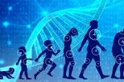 ۴ روش آسان برای افزایش طول عمر و سلامتی 
