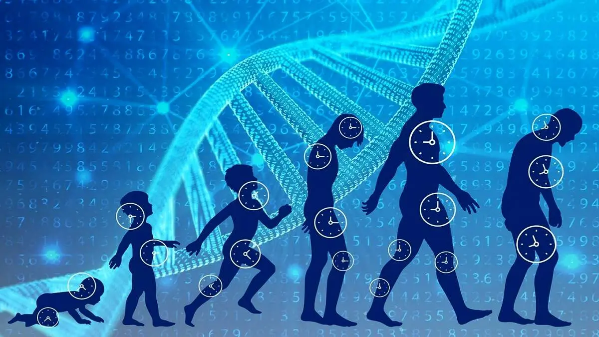 ۴ روش آسان برای افزایش طول عمر و سلامتی