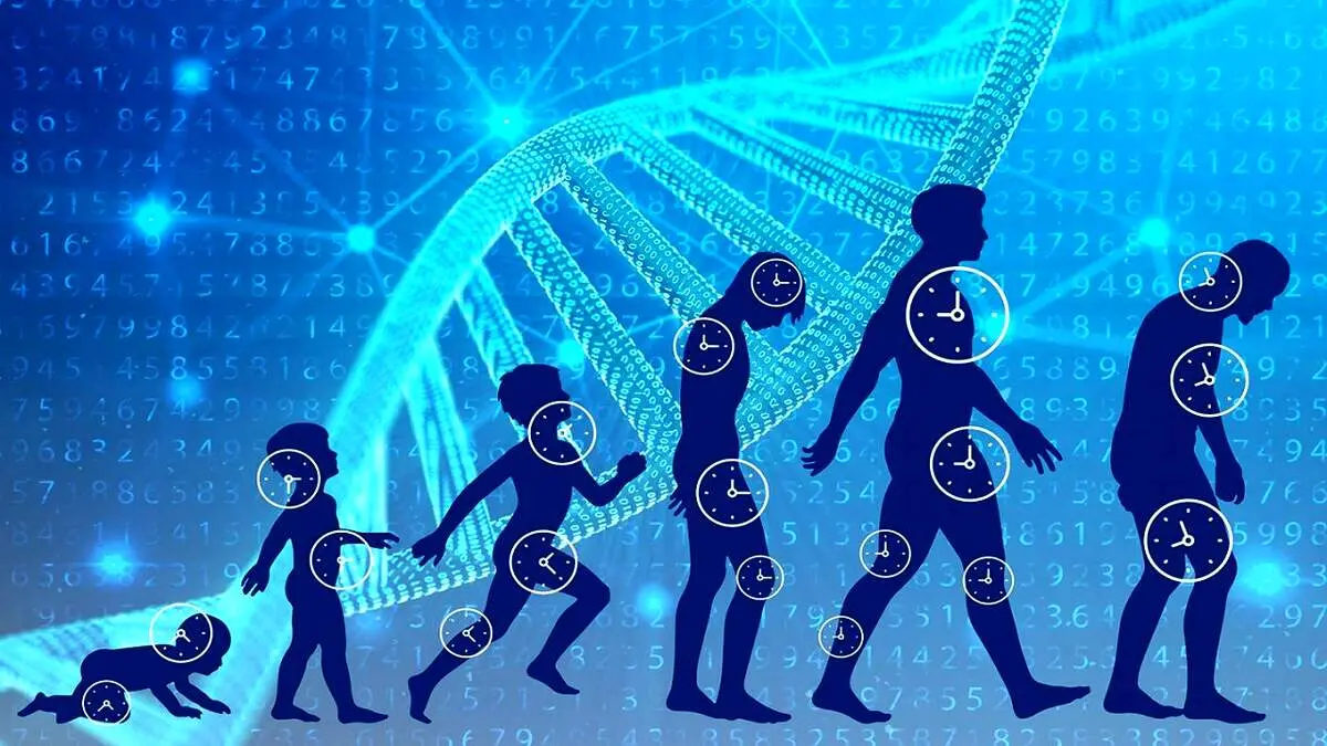 ۴ روش آسان برای افزایش طول عمر و سلامتی 
