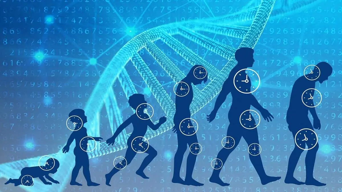۴ روش آسان برای افزایش طول عمر و سلامتی 
