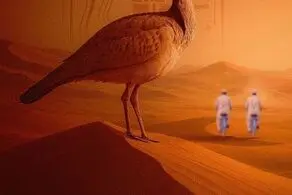 کری‌خوانی سنگین باشگاه یزدی برای شعبه دوم استقلال