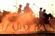 مسابقات چوگان "جام فردوسی"
