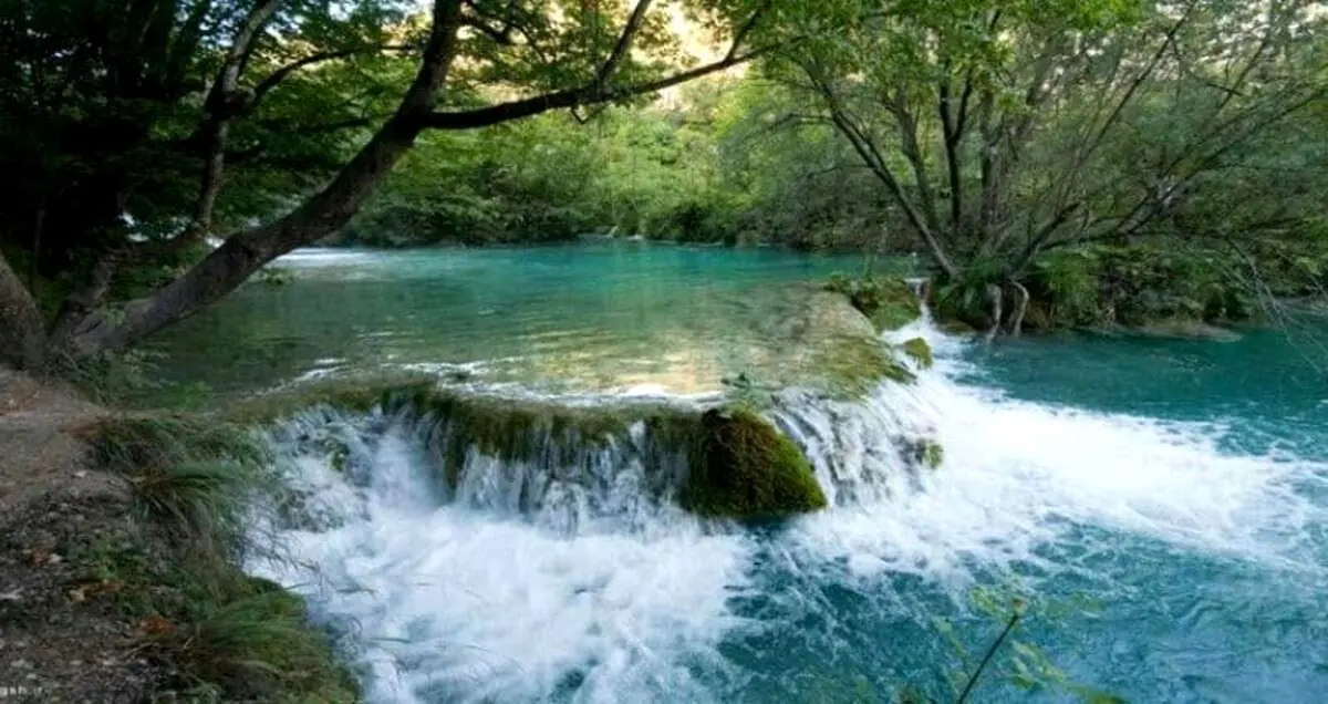 پدر و مادر رودسری می‌خواستند فرزندشان را در رودخانه بیاندازند!