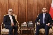 دیدار سفیر ایران در نیجر با حسین امیرعبداللهیان