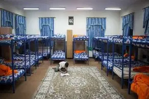 حرکت خنده دار دانشجوی ایرانی برای تفریح در خوابگاه حماسه ساز شد/ عکس