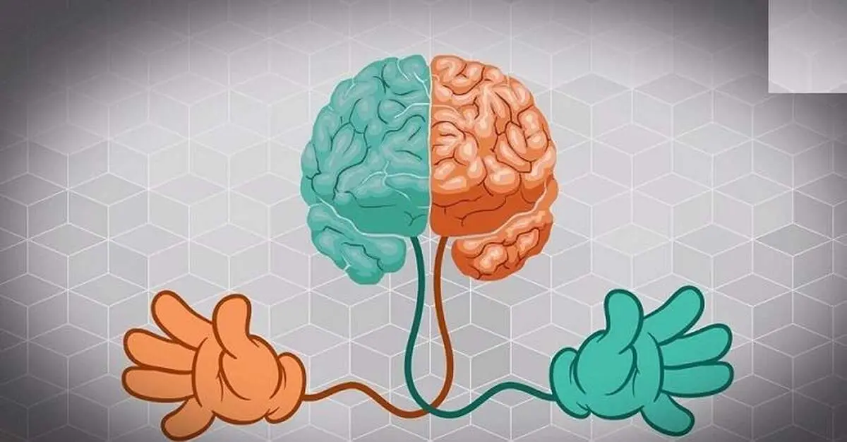 تفاوت جالب راست دست ها با چپ دست ها در طول عمر 