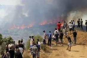 اسرائیل عامل این آتش‌سوزی‌ها است!