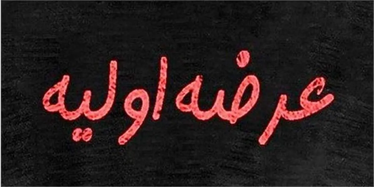 عرضه اولیه جدید در فرابورس قطعی شد