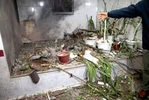 جنگ زمینی شود من به جبهه خواهم رفت 