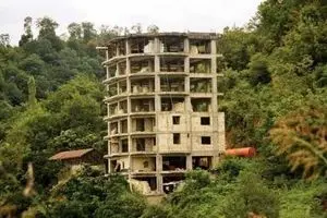 مهاجرت‌های جنگی به استان‌های شمالی به جنگل‌خواری منجر می‌شود؟