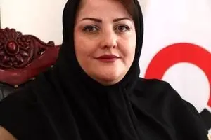 رکورد صادرات تخم مرغ تا پایان سال 1403شکسته می شود