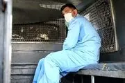 مرگ سارق حرفه‌ای را لو داد