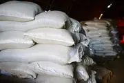 برنج ارزان می شود