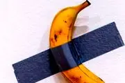 قیمت شوکه کننده و نیم میلیارد تومانی یک موز /  این موز  به زودی توسط صاحب جدیدش خورده می شود!
