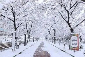 بارش برف و باران در راه تهران
