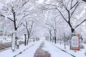 بارش برف و باران در راه تهران