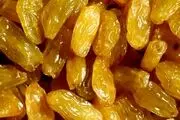 با خوردن این میوه های خشک لاغر شوید!