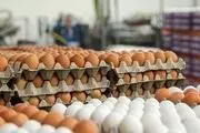 قیمت هر شانه تخم مرغ به ۳۵ هزار تومان رسید