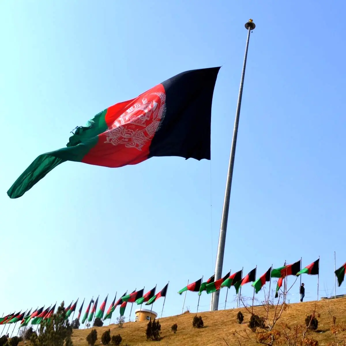 نمی‌توان گفت کنسولگری افغانستان به طالبان واگذار شده/ هنوز فردی به عنوان سرکنسول معرفی و تایید نشده است 