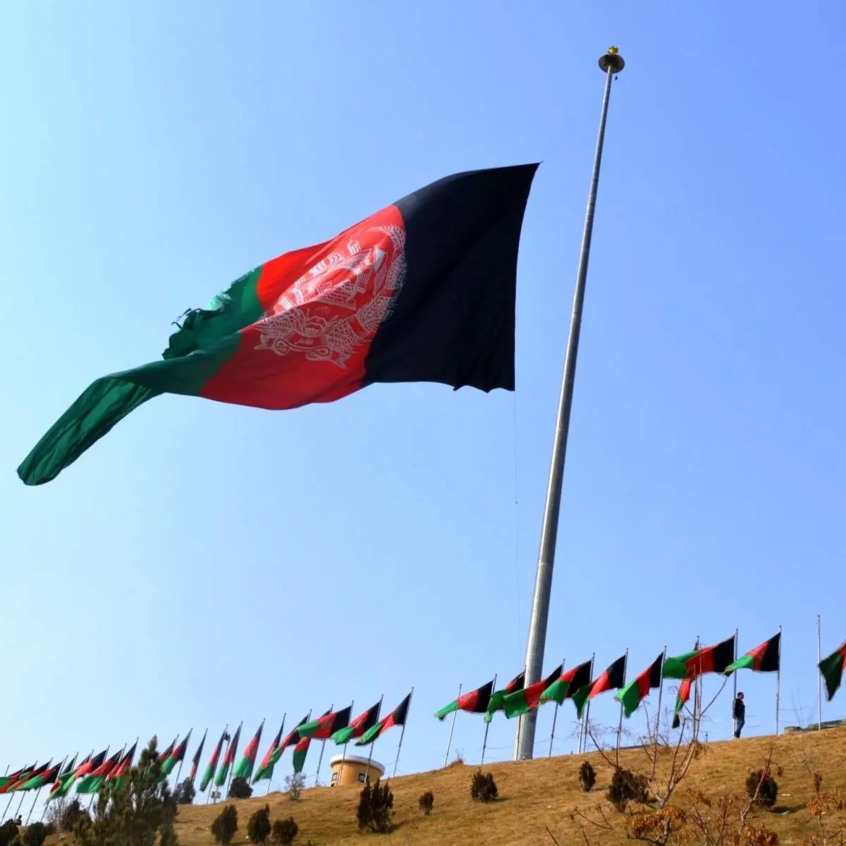 نمی‌توان گفت کنسولگری افغانستان به طالبان واگذار شده/ هنوز فردی به عنوان سرکنسول معرفی و تایید نشده است 