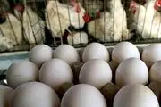 تغییر قیمت مرغ، گوشت سفید و تخم مرغ در آستانه ماه رمضان/ جدول