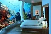 خوابیدن هولناک اما جذاب در کنار کوسه‌ها!