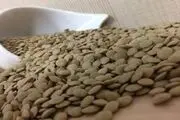 اگر مداوم عدس بخورید چه اتفاقی در بدن می‌افتد؟