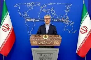 بقائی: از همه ظرفیت‌ها برای پاسداشت حقوق هسته‌ای ملت ایران استفاده می‌کنیم 