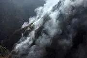 مسئولانی که در مهار آتش‌سوزی جنگل‌های هیرکانی الیت قصور کنند، طبق قانون مجازات می‌شوند