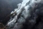 مسئولانی که در مهار آتش‌سوزی جنگل‌های هیرکانی الیت قصور کنند، طبق قانون مجازات می‌شوند