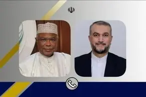 رایزنی امیر عبداللهیان با دبیرکل سازمان همکاری اسلامی