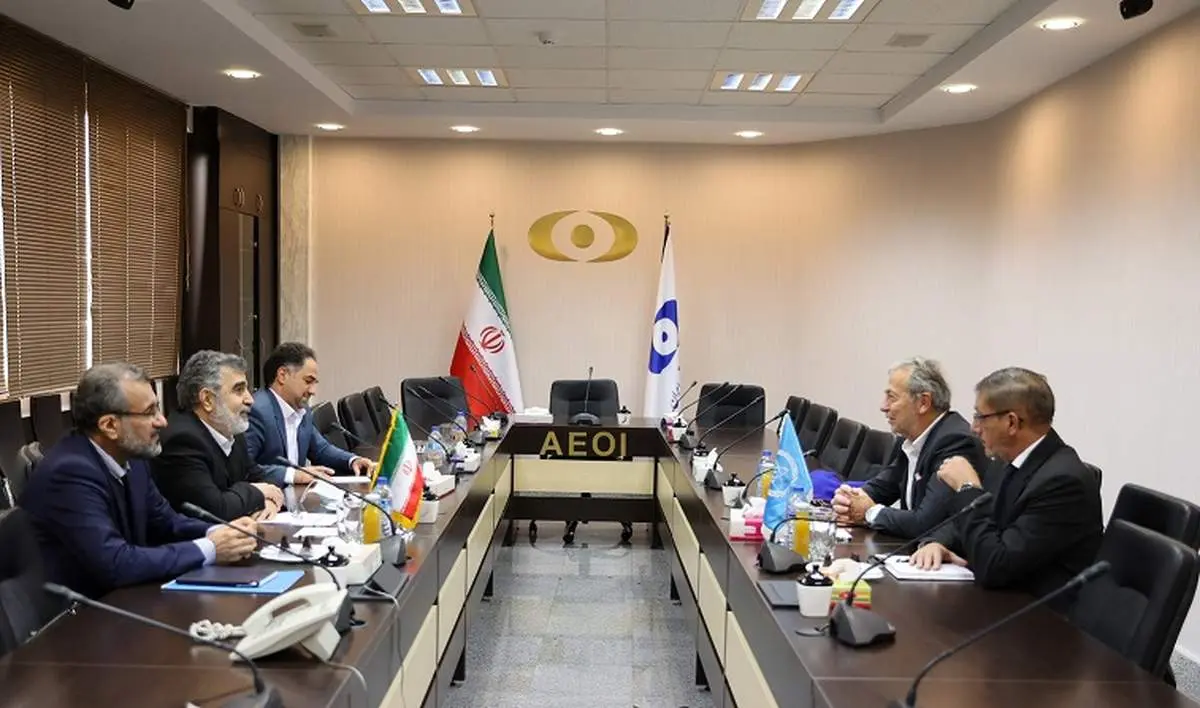 هیات آژانس بینالمللی انرژی اتمی ایران را ترک کرد